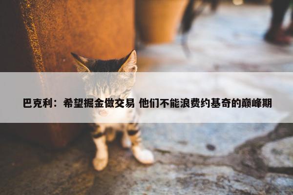 巴克利：希望掘金做交易 他们不能浪费约基奇的巅峰期