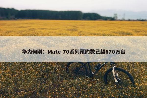 华为何刚：Mate 70系列预约数已超670万台