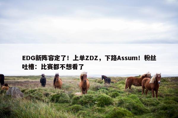 EDG新阵容定了！上单ZDZ，下路Assum！粉丝吐槽：比赛都不想看了