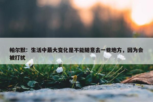 帕尔默：生活中最大变化是不能随意去一些地方，因为会被打扰