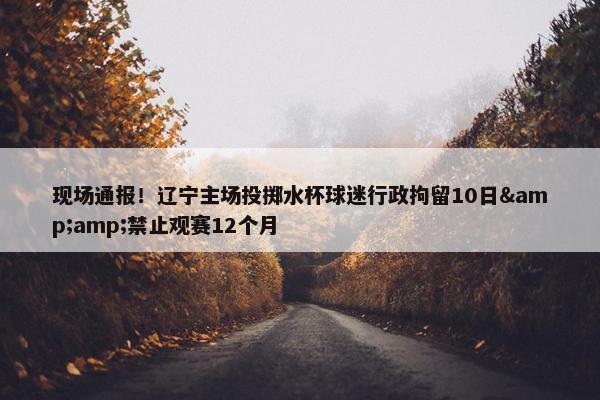 现场通报！辽宁主场投掷水杯球迷行政拘留10日&amp;禁止观赛12个月