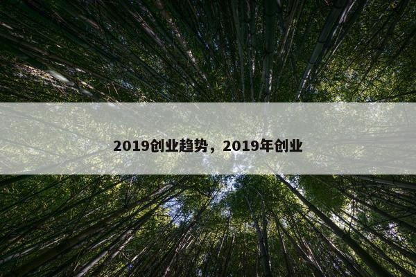 2019创业趋势，2019年创业