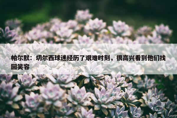 帕尔默：切尔西球迷经历了艰难时刻，很高兴看到他们找回笑容