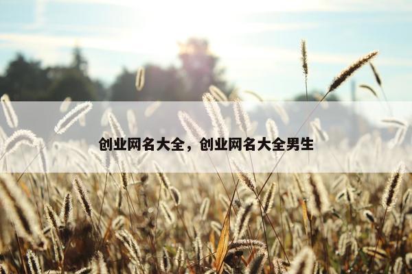 创业网名大全，创业网名大全男生