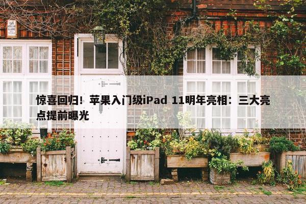 惊喜回归！苹果入门级iPad 11明年亮相：三大亮点提前曝光