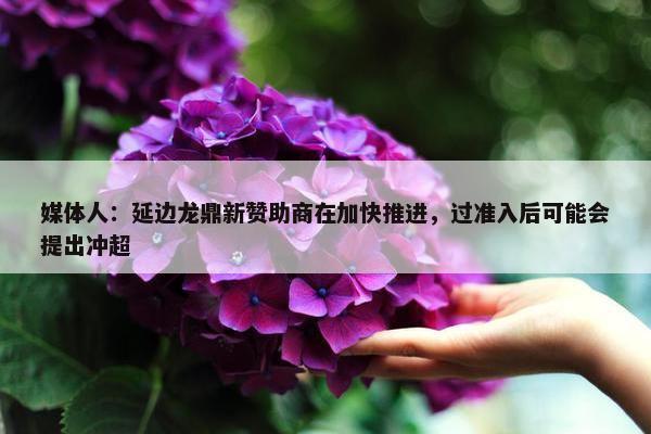 媒体人：延边龙鼎新赞助商在加快推进，过准入后可能会提出冲超