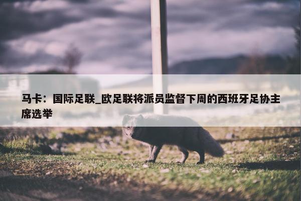 马卡：国际足联_欧足联将派员监督下周的西班牙足协主席选举