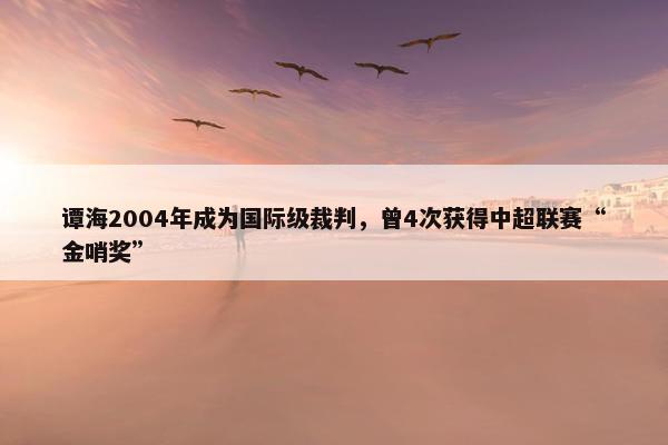 谭海2004年成为国际级裁判，曾4次获得中超联赛“金哨奖”