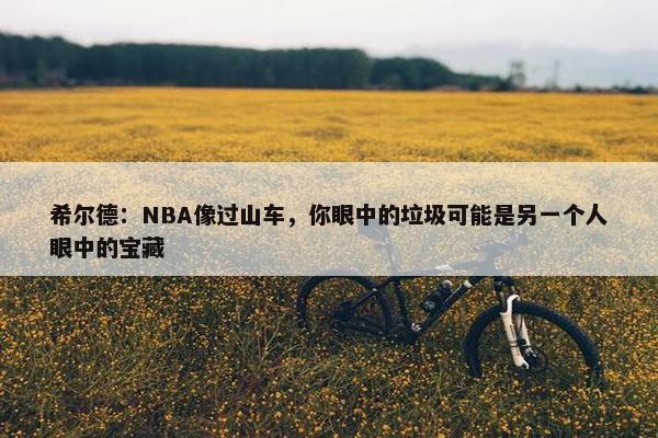 希尔德：NBA像过山车，你眼中的垃圾可能是另一个人眼中的宝藏