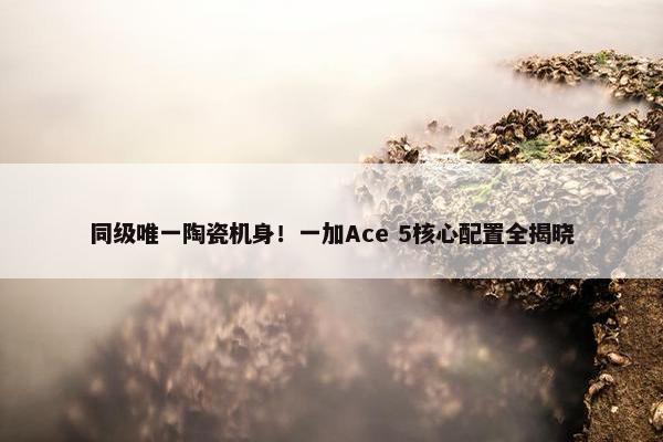 同级唯一陶瓷机身！一加Ace 5核心配置全揭晓