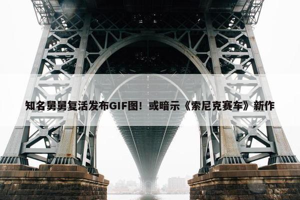 知名舅舅复活发布GIF图！或暗示《索尼克赛车》新作