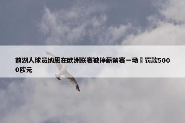 前湖人球员纳恩在欧洲联赛被停薪禁赛一场️罚款5000欧元