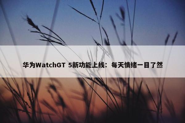 华为WatchGT 5新功能上线：每天情绪一目了然