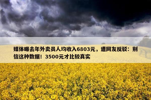 媒体曝去年外卖员人均收入6803元，遭网友反驳：别信这种数据！3500元才比较真实