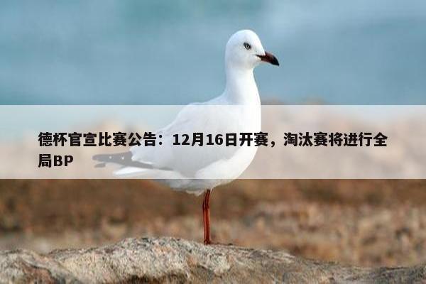 德杯官宣比赛公告：12月16日开赛，淘汰赛将进行全局BP