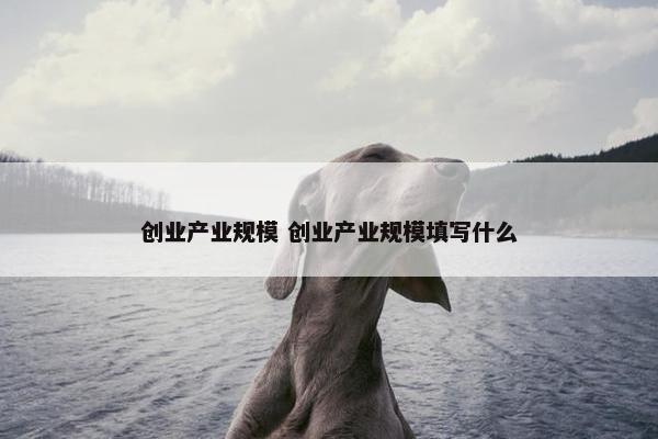 创业产业规模 创业产业规模填写什么