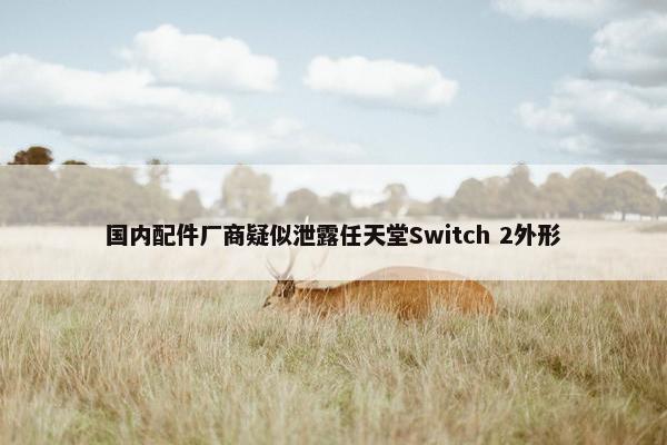 国内配件厂商疑似泄露任天堂Switch 2外形