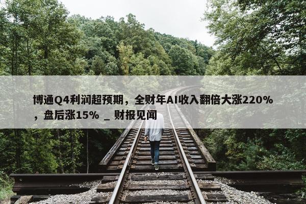 博通Q4利润超预期，全财年AI收入翻倍大涨220%，盘后涨15% _ 财报见闻