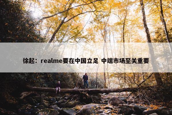 徐起：realme要在中国立足 中端市场至关重要