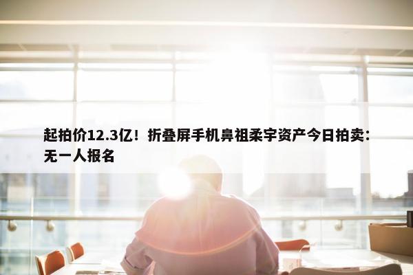 起拍价12.3亿！折叠屏手机鼻祖柔宇资产今日拍卖：无一人报名