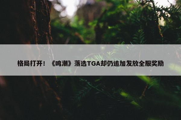 格局打开！《鸣潮》落选TGA却仍追加发放全服奖励