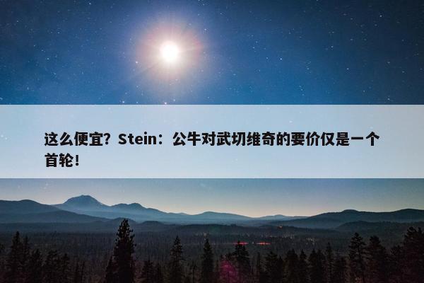 这么便宜？Stein：公牛对武切维奇的要价仅是一个首轮！