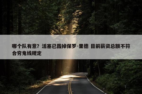 哪个队有意？活塞已裁掉保罗-里德 目前薪资总额不符合穷鬼线规定