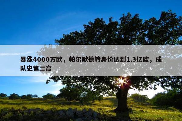 暴涨4000万欧，帕尔默德转身价达到1.3亿欧，成队史第二高