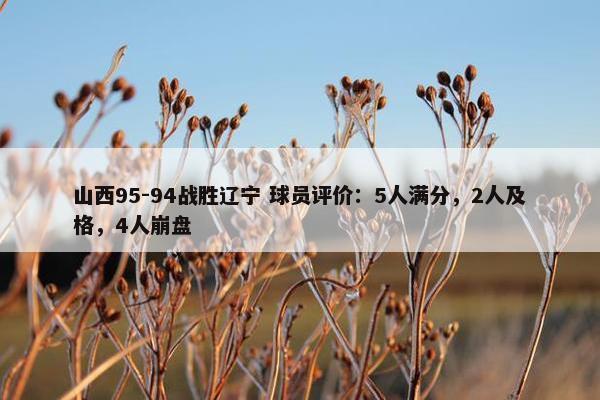 山西95-94战胜辽宁 球员评价：5人满分，2人及格，4人崩盘