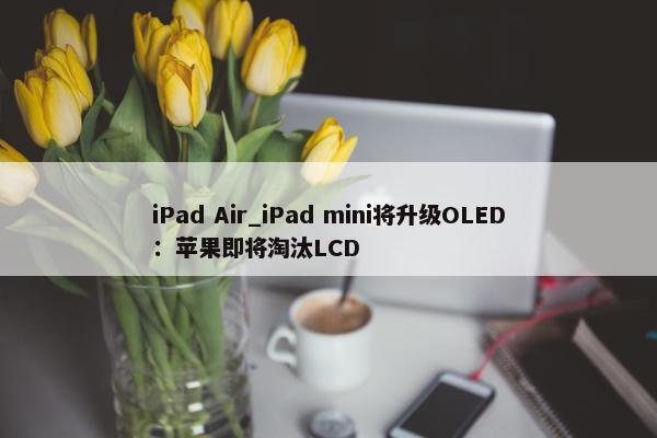 iPad Air_iPad mini将升级OLED：苹果即将淘汰LCD