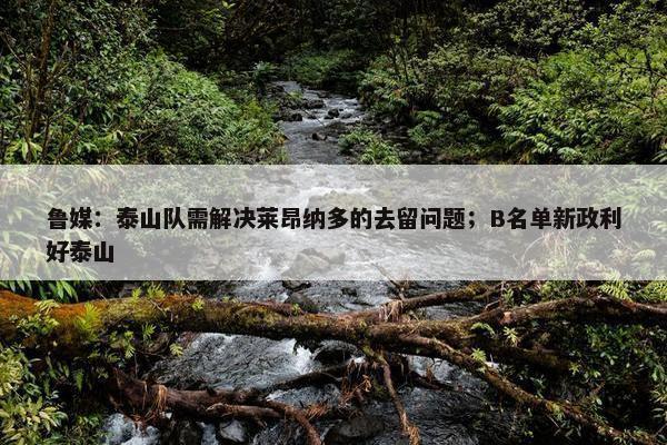 鲁媒：泰山队需解决莱昂纳多的去留问题；B名单新政利好泰山