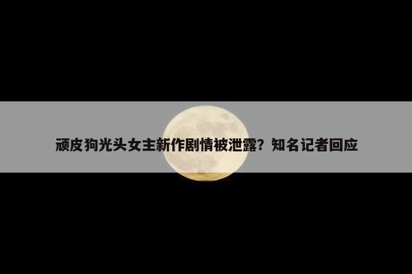 顽皮狗光头女主新作剧情被泄露？知名记者回应