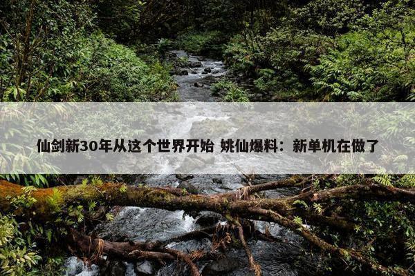 仙剑新30年从这个世界开始 姚仙爆料：新单机在做了