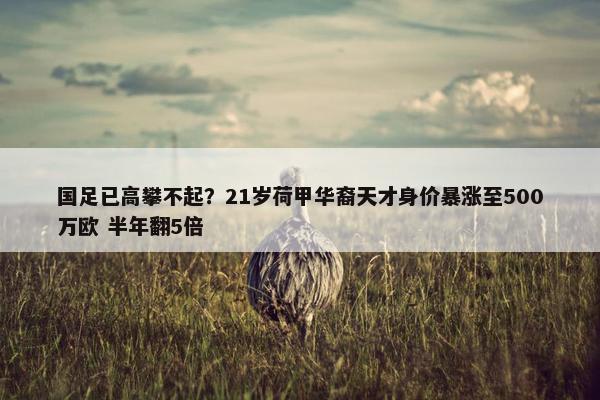 国足已高攀不起？21岁荷甲华裔天才身价暴涨至500万欧 半年翻5倍