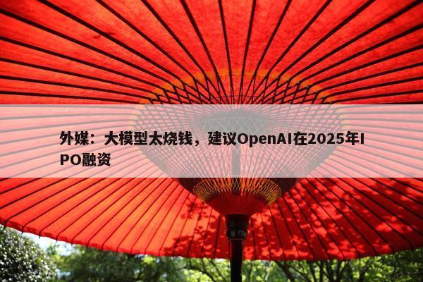 外媒：大模型太烧钱，建议OpenAI在2025年IPO融资