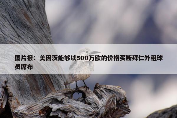 图片报：美因茨能够以500万欧的价格买断拜仁外租球员席布