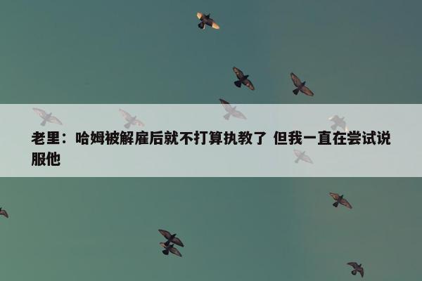 老里：哈姆被解雇后就不打算执教了 但我一直在尝试说服他