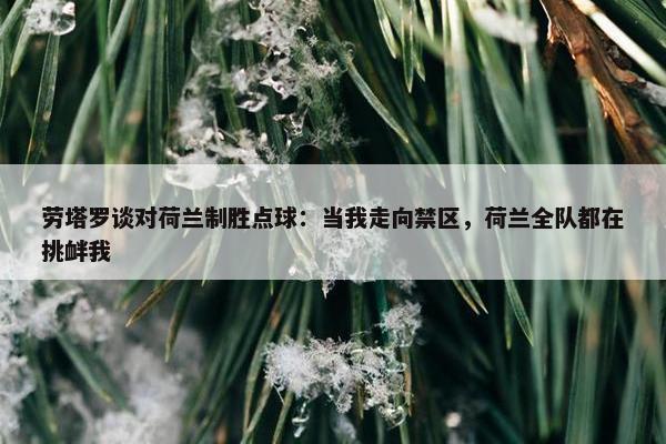 劳塔罗谈对荷兰制胜点球：当我走向禁区，荷兰全队都在挑衅我