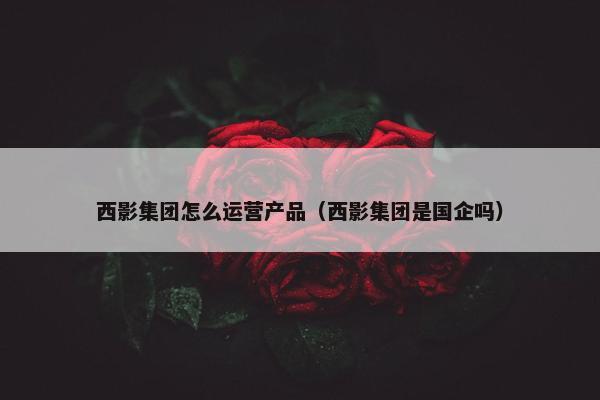 西影集团怎么运营产品（西影集团是国企吗）