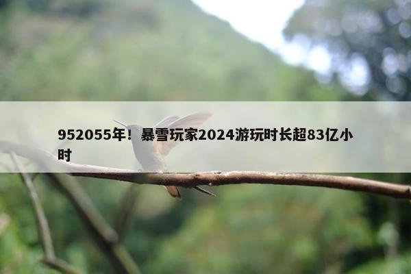 952055年！暴雪玩家2024游玩时长超83亿小时