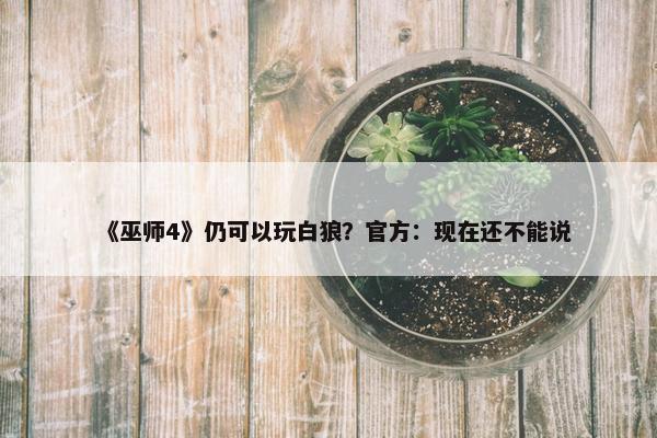 《巫师4》仍可以玩白狼？官方：现在还不能说