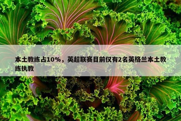 本土教练占10%，英超联赛目前仅有2名英格兰本土教练执教