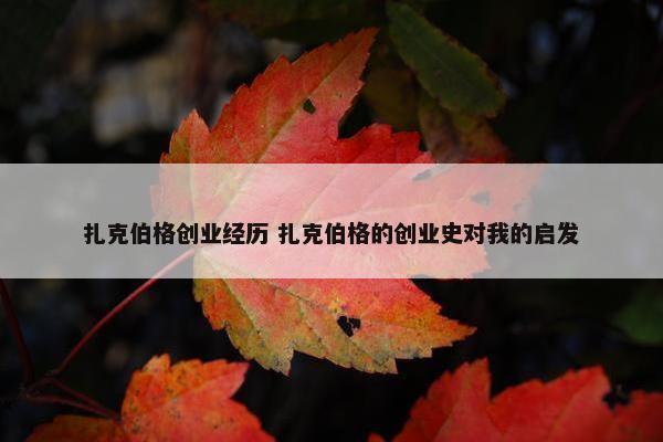 扎克伯格创业经历 扎克伯格的创业史对我的启发