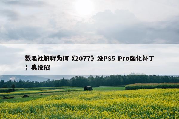 数毛社解释为何《2077》没PS5 Pro强化补丁：真没招