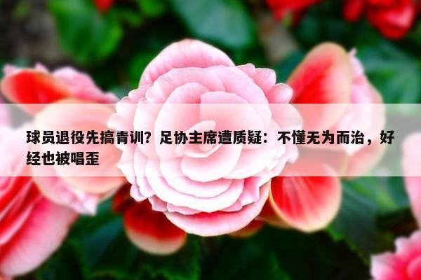 球员退役先搞青训？足协主席遭质疑：不懂无为而治，好经也被唱歪