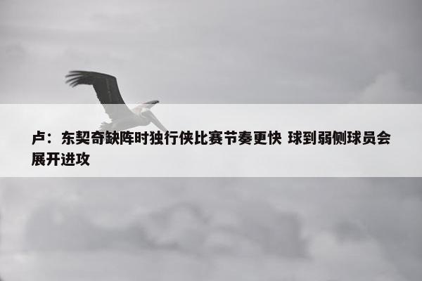 卢：东契奇缺阵时独行侠比赛节奏更快 球到弱侧球员会展开进攻