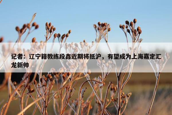 记者：辽宁籍教练段鑫近期将抵沪，有望成为上海嘉定汇龙新帅