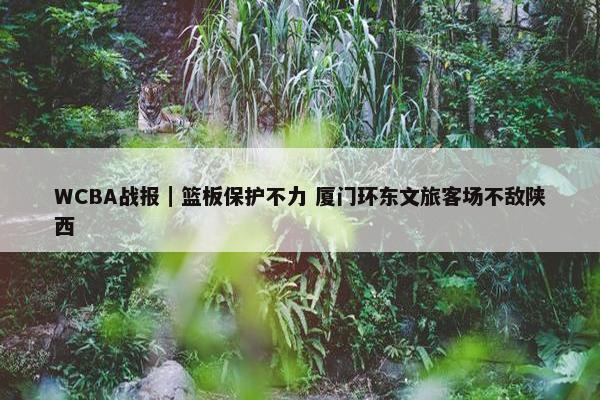 WCBA战报｜篮板保护不力 厦门环东文旅客场不敌陕西