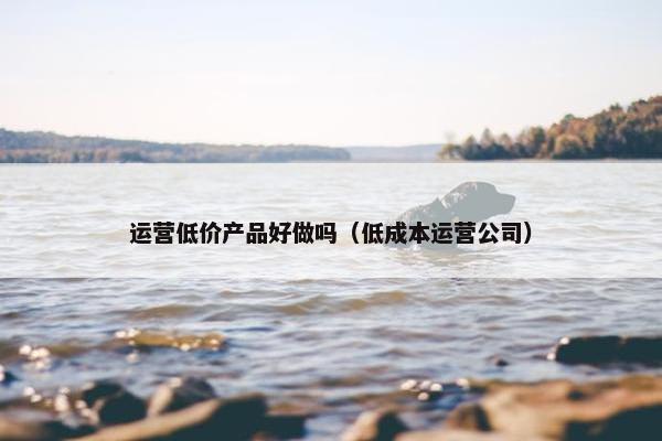 运营低价产品好做吗（低成本运营公司）