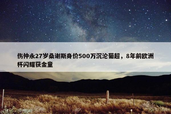 伤仲永27岁桑谢斯身价500万沉沦葡超，8年前欧洲杯闪耀获金童